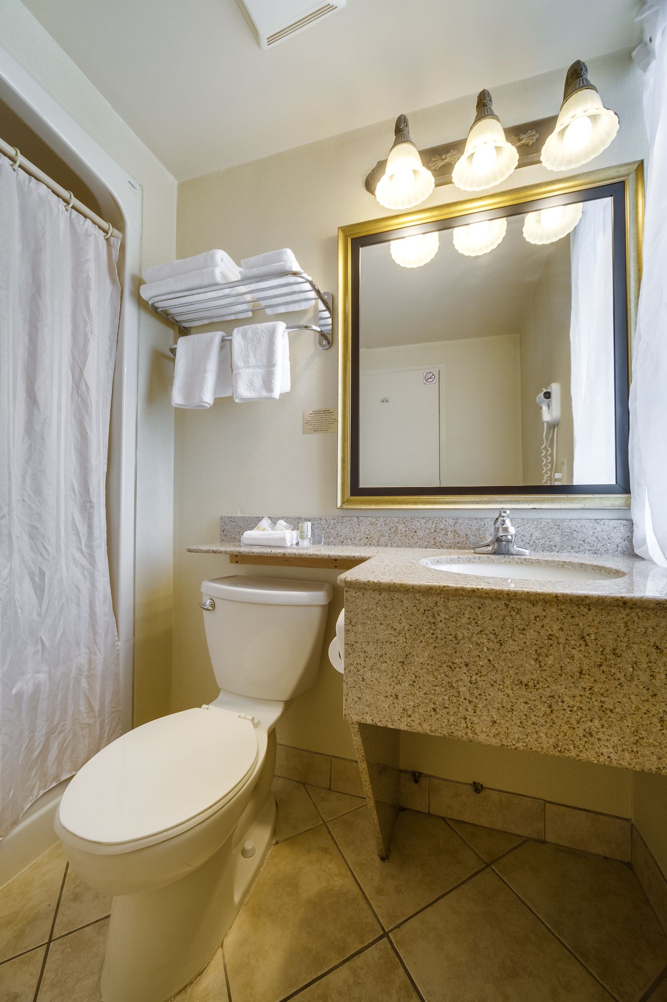 Фото Monte Carlo Inn Toronto West Suites