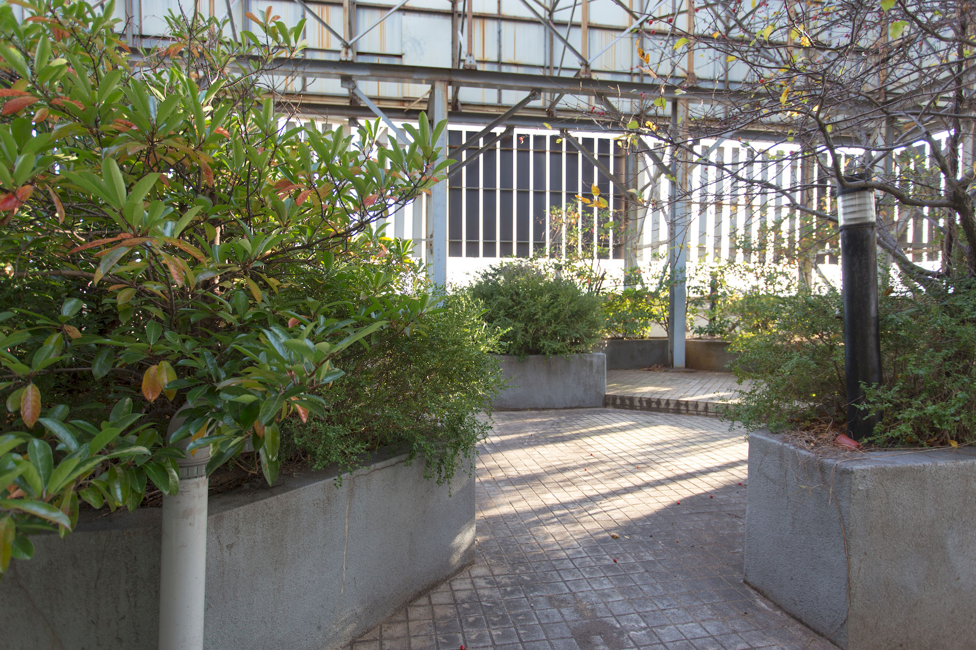 Фото Benikea Hotel Pohang