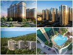 Nipoteka (Babushkina Street, 295), real estate agency