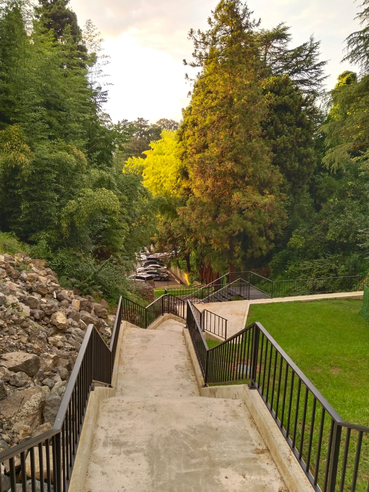 Фото Greenwood Hotel 