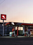Eco Fuel Construction (Ankara Province, Cankaya District, Turan Güneş Bul., 100) ، شركة بناء