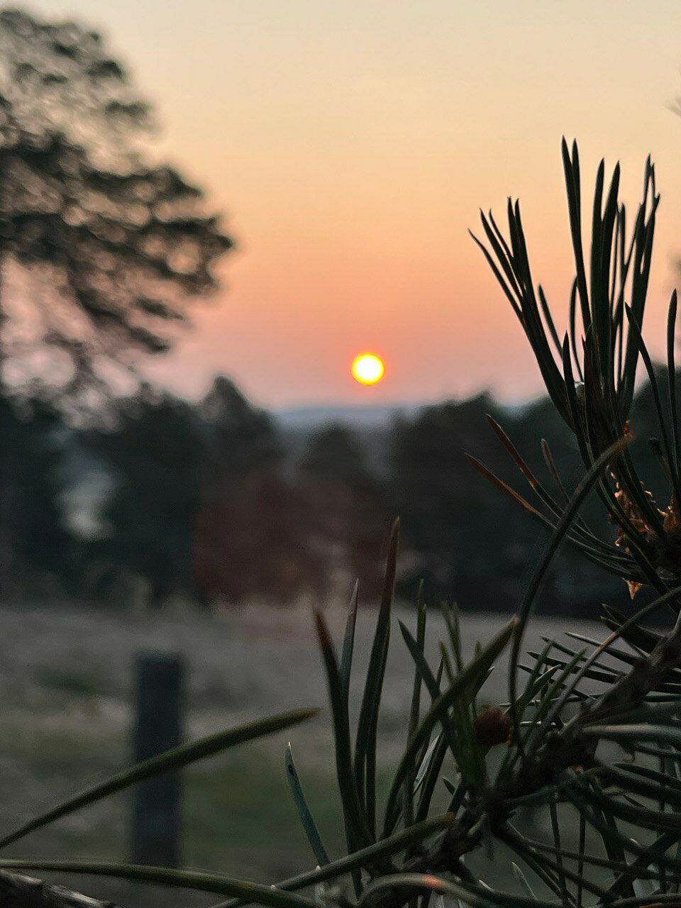 Фото Шамбала