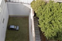 Фото Color Botanico