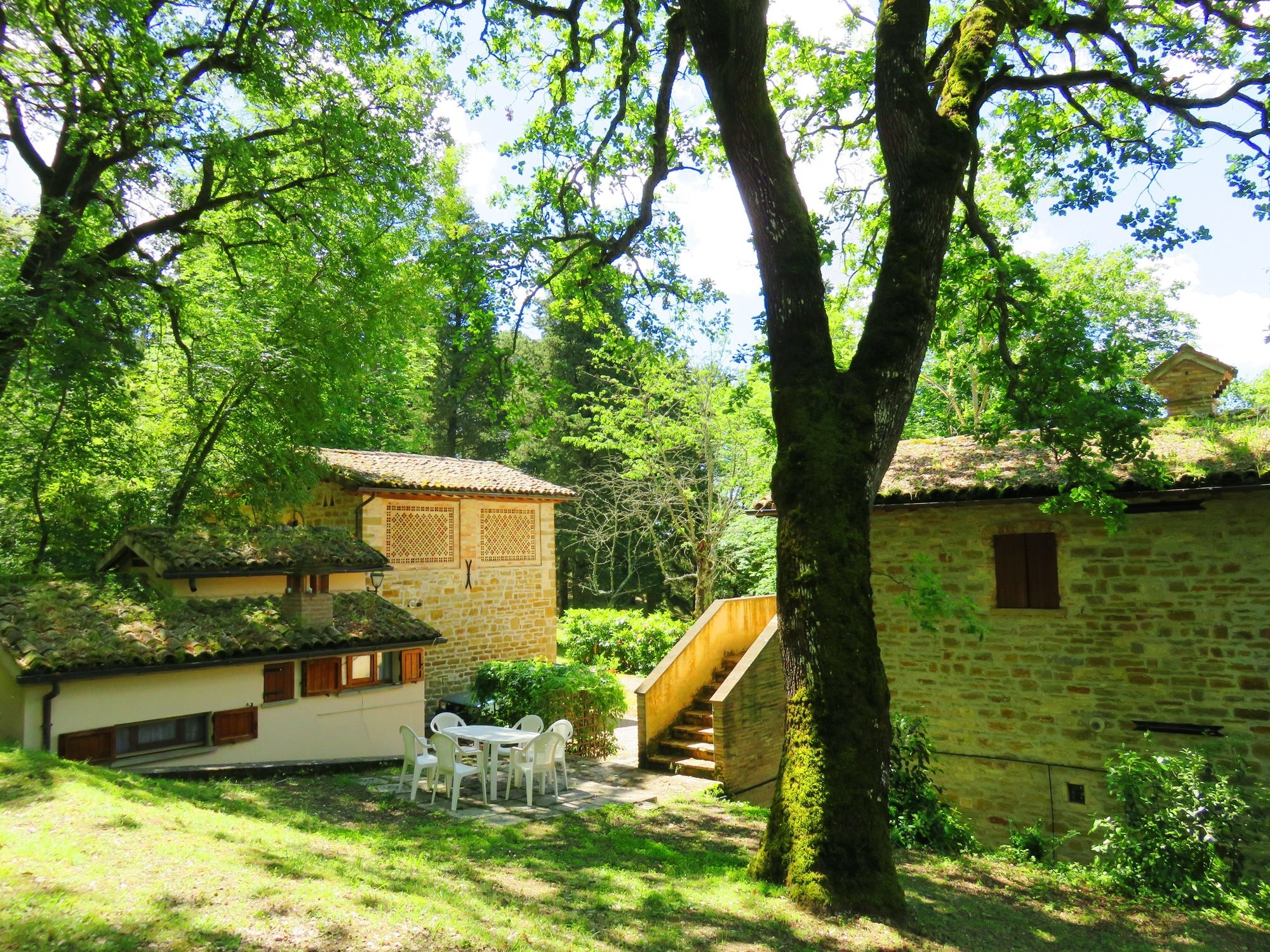 Фото Castello Cortevecchio