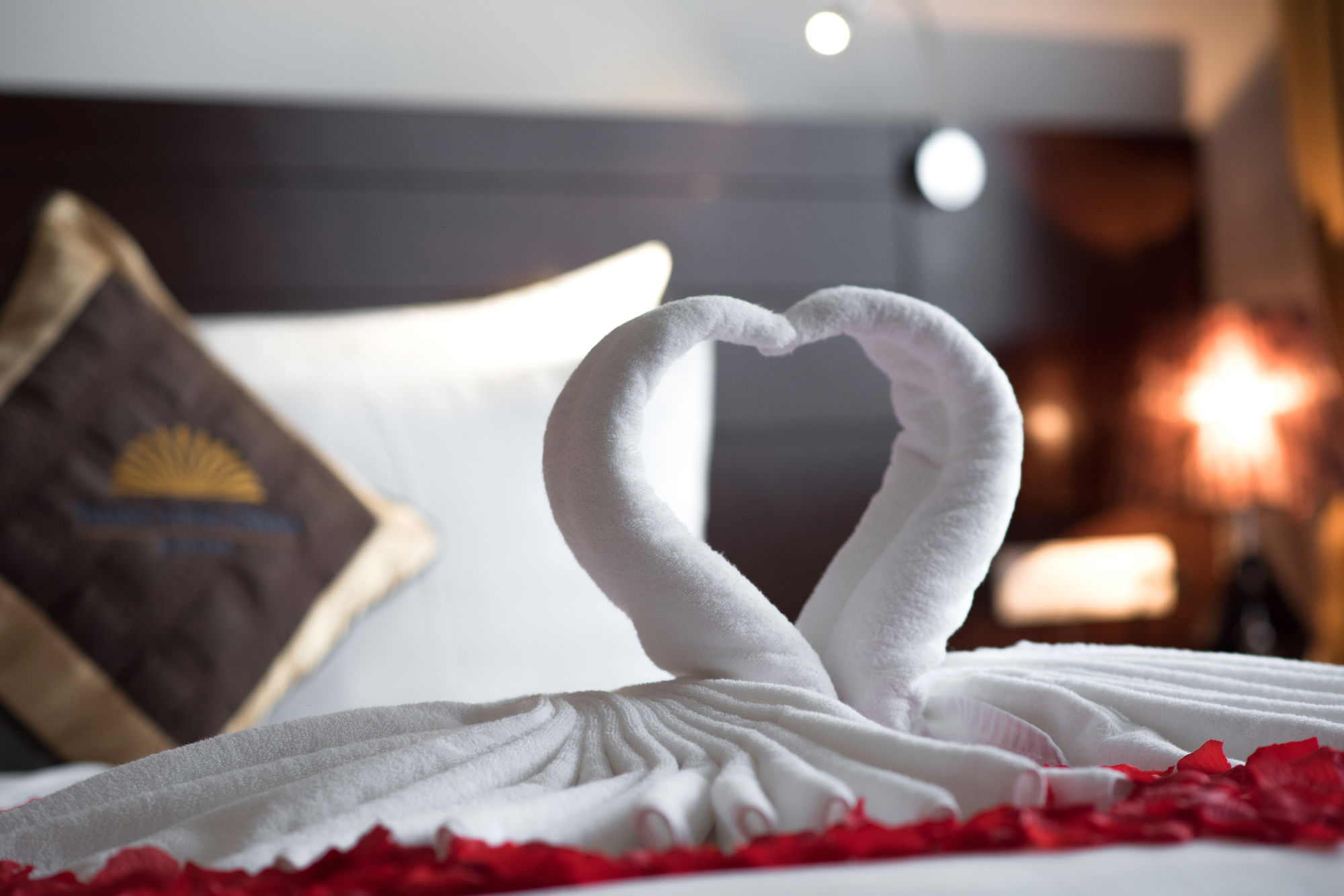 Фото Thang Long Opera Hotel