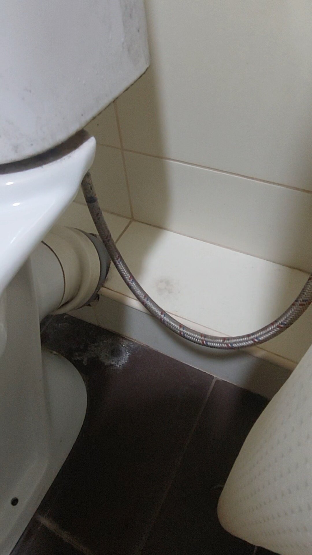 Фото Биба Апартментс