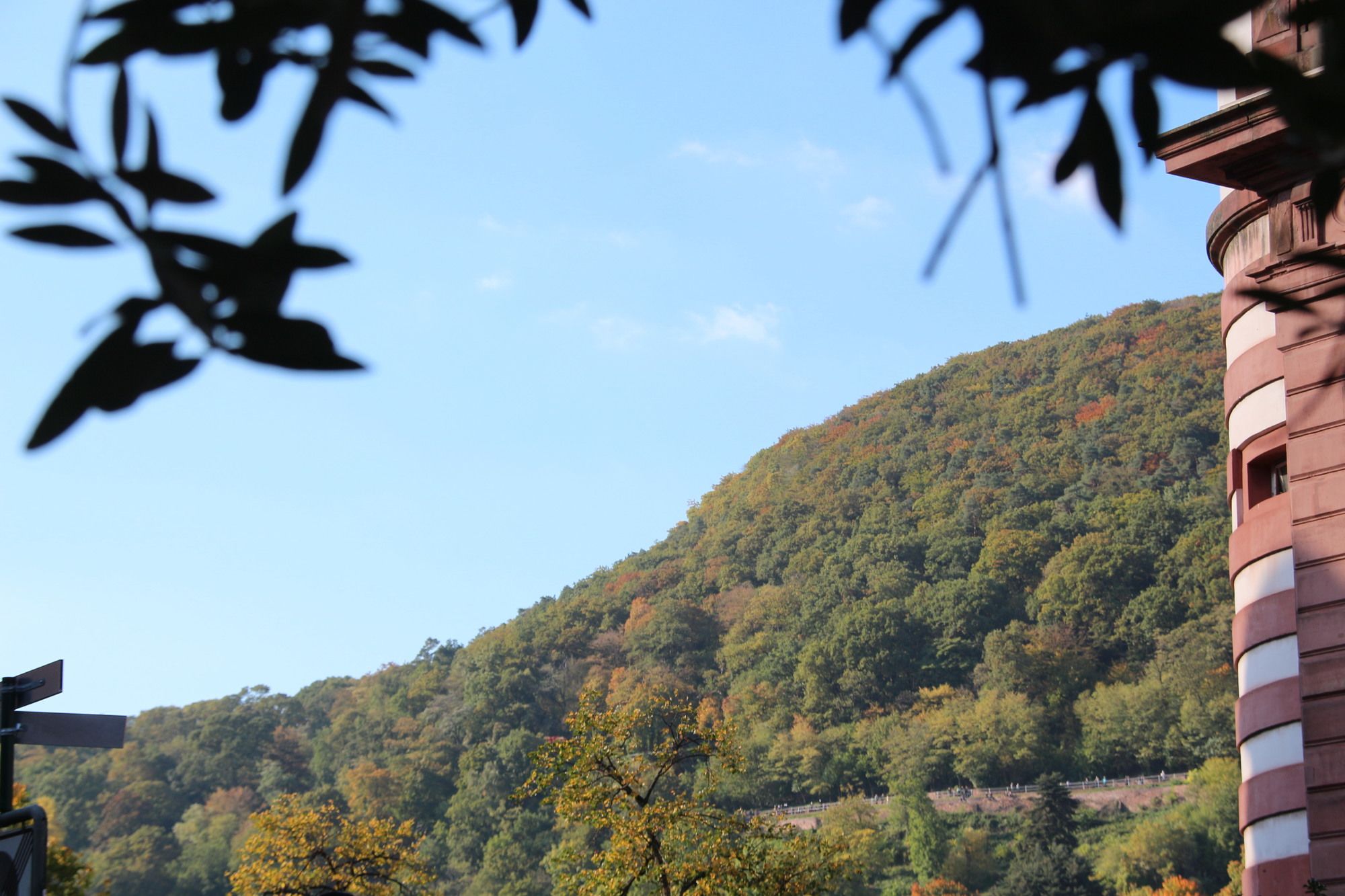 Фото Hotel Zur Alten Brücke