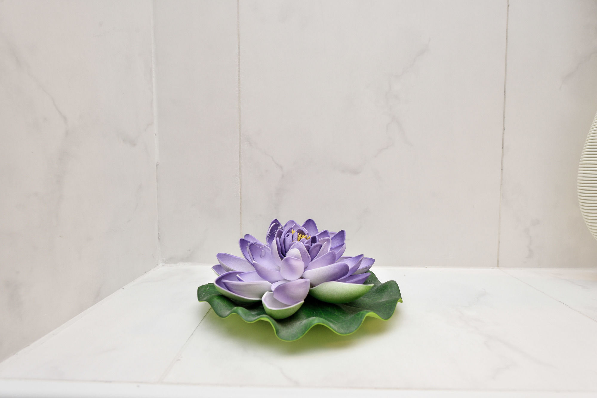 Фото Hotel ZaDaR