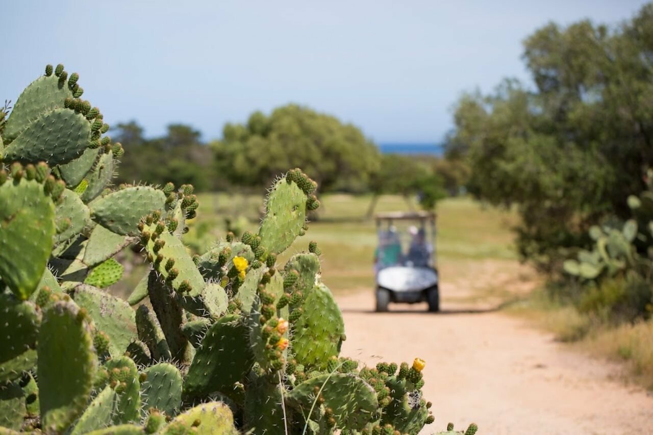 Фото Курортный отель Is Molas Resort