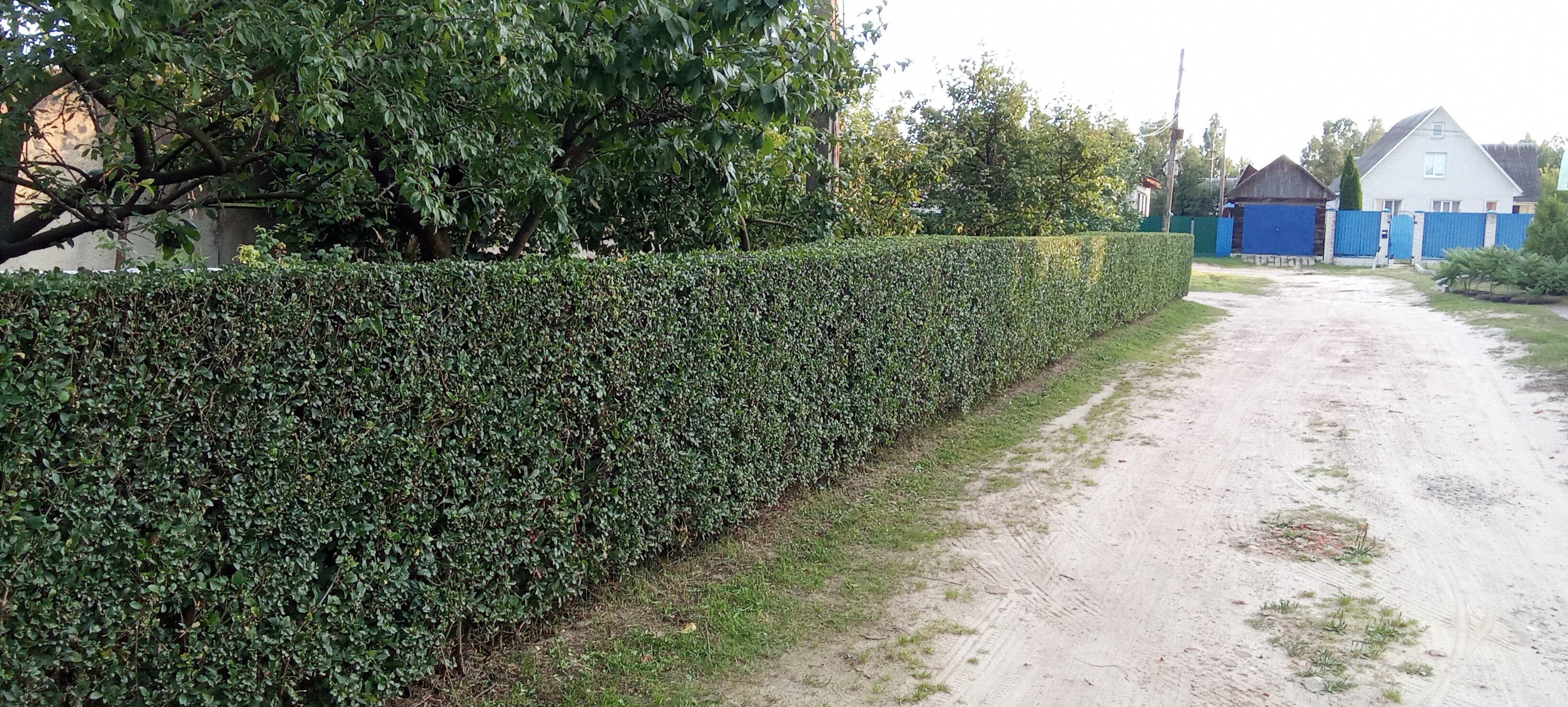 Фото Гостиный дом на Речной