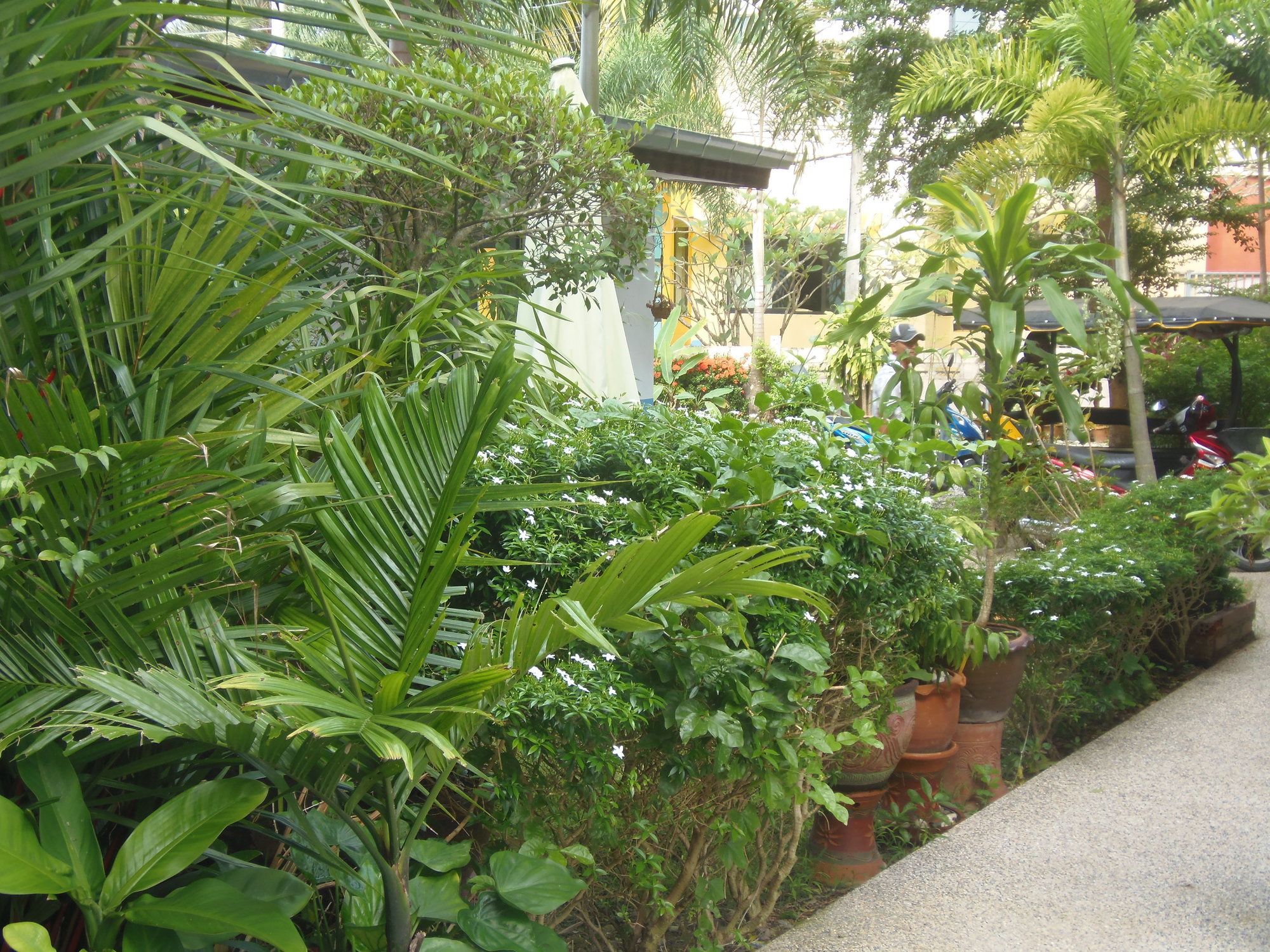 Фото The Orange City Resort