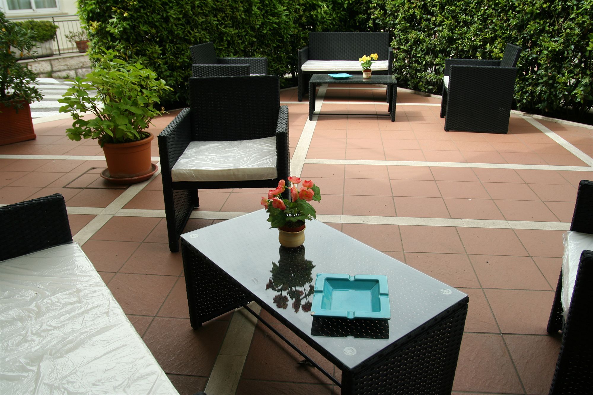 Фото Hotel Elena