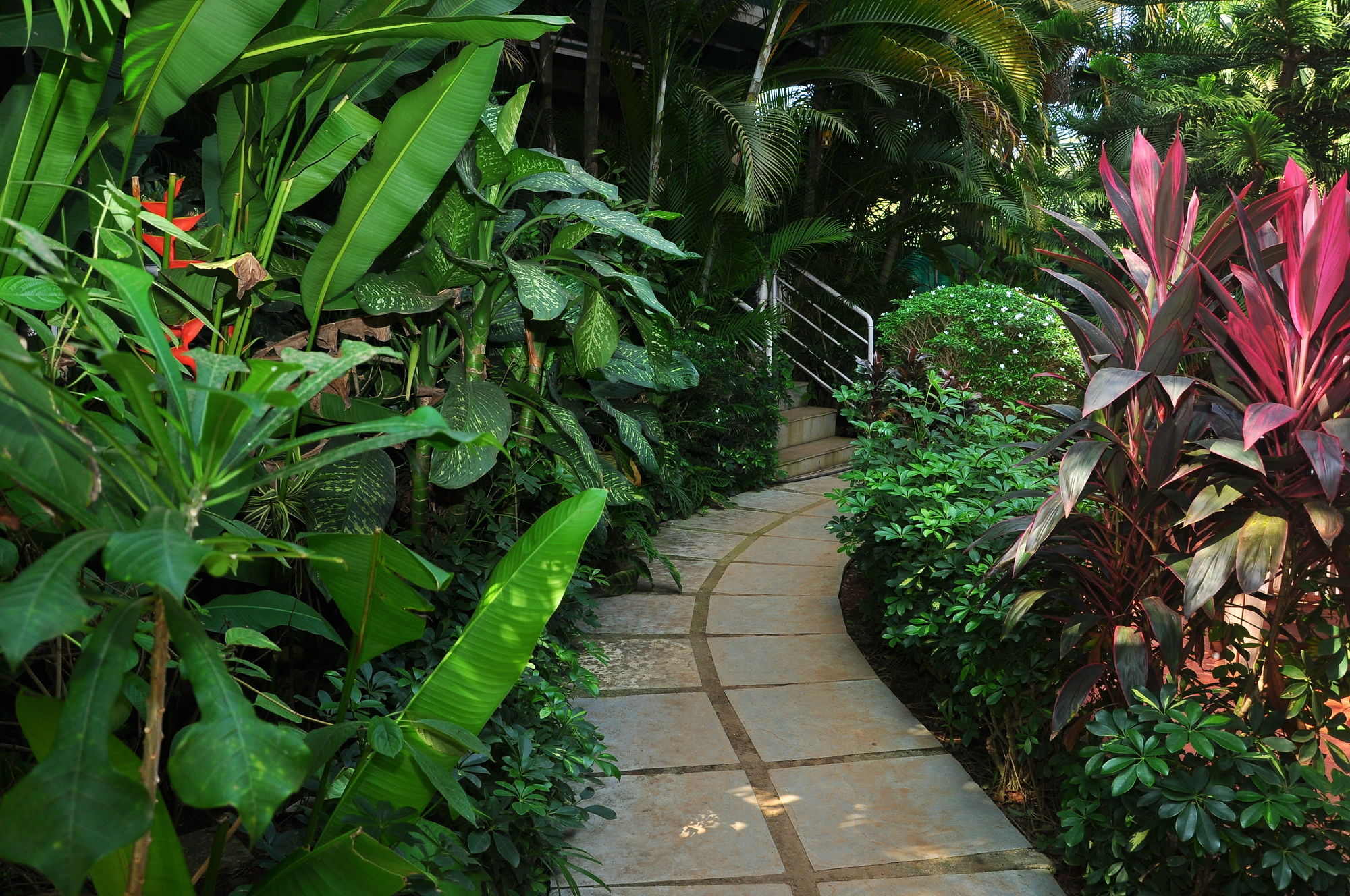 Фото Villa Theresa Beach Resort