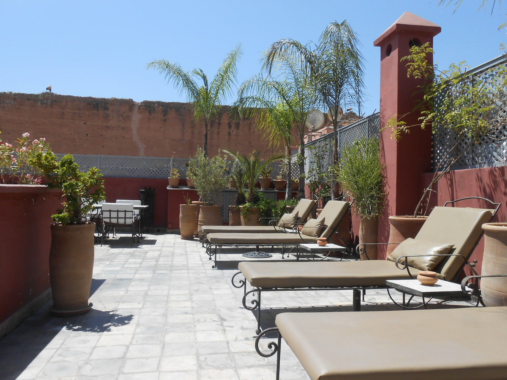 Фото Riad Alegria