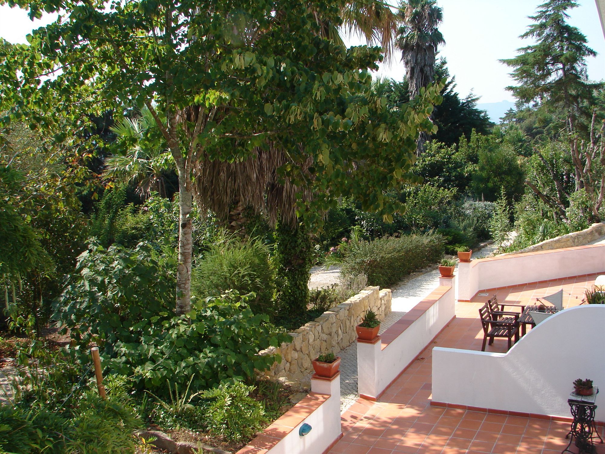 Фото Quinta Verde Sintra