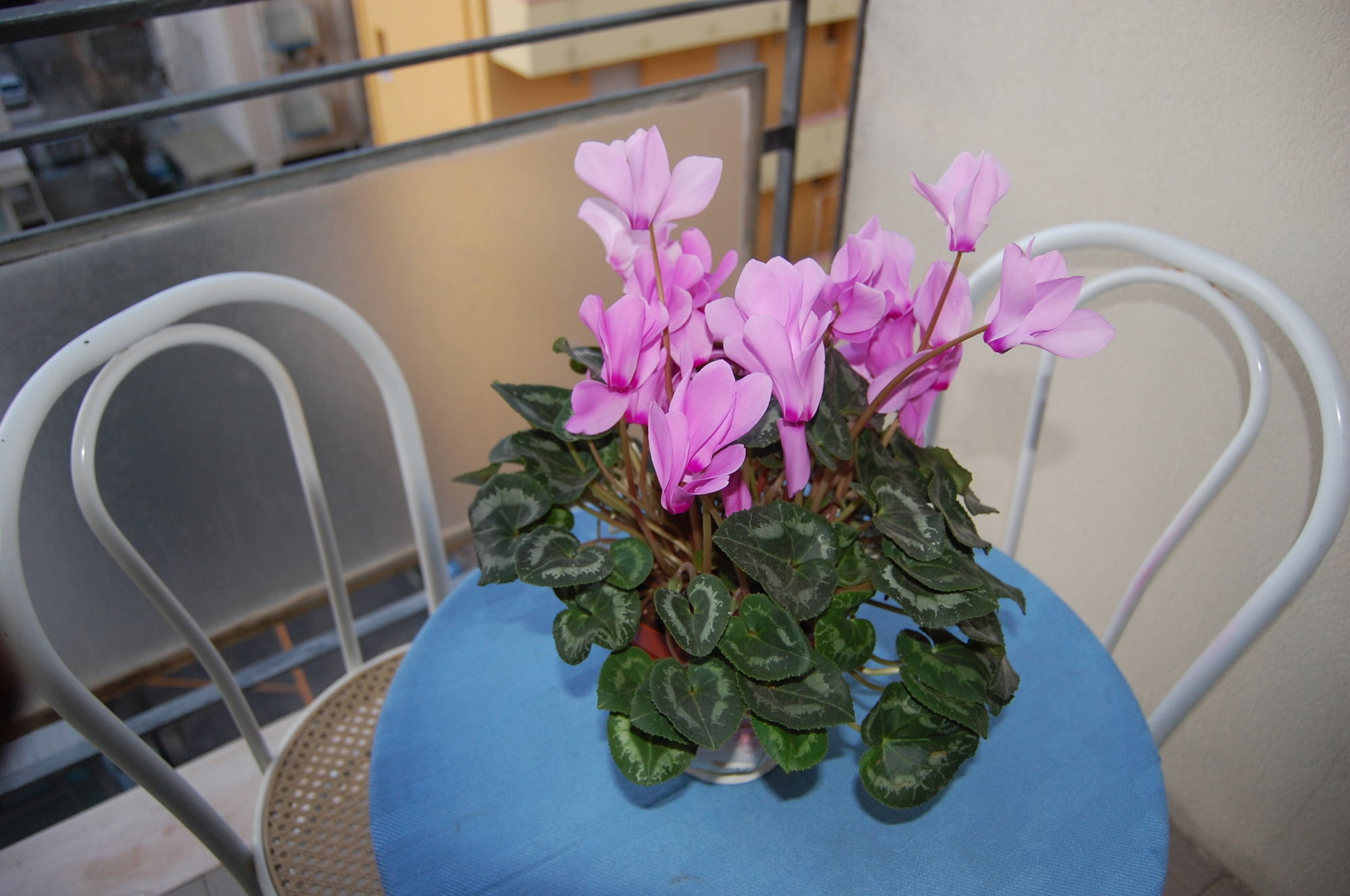 Фото Hotel Grazia Riccione