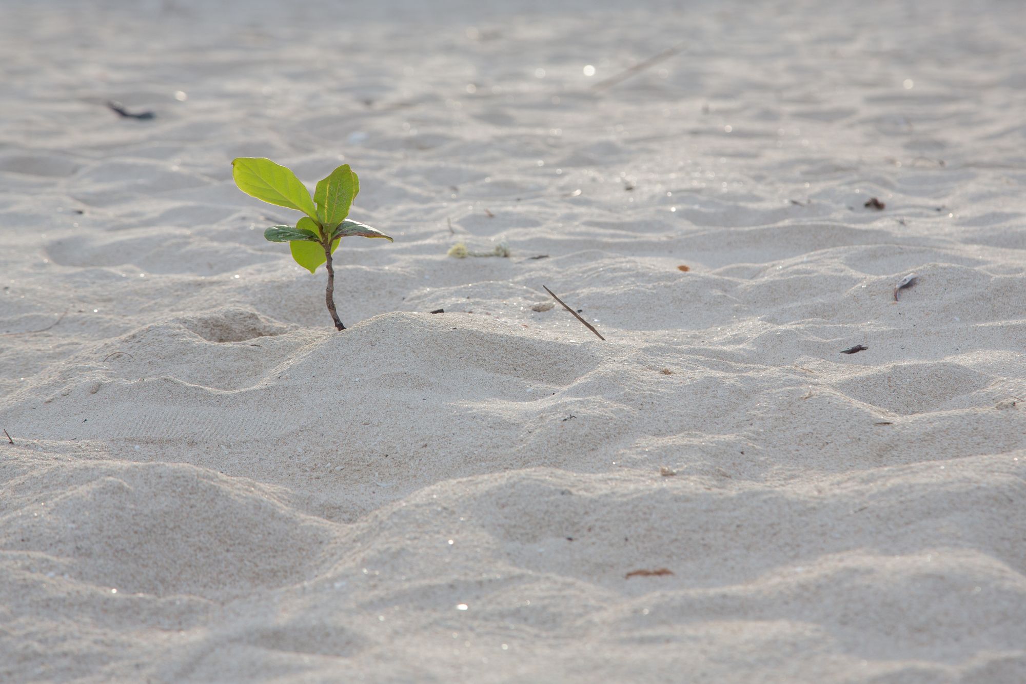 Фото Talay Sai Hotel