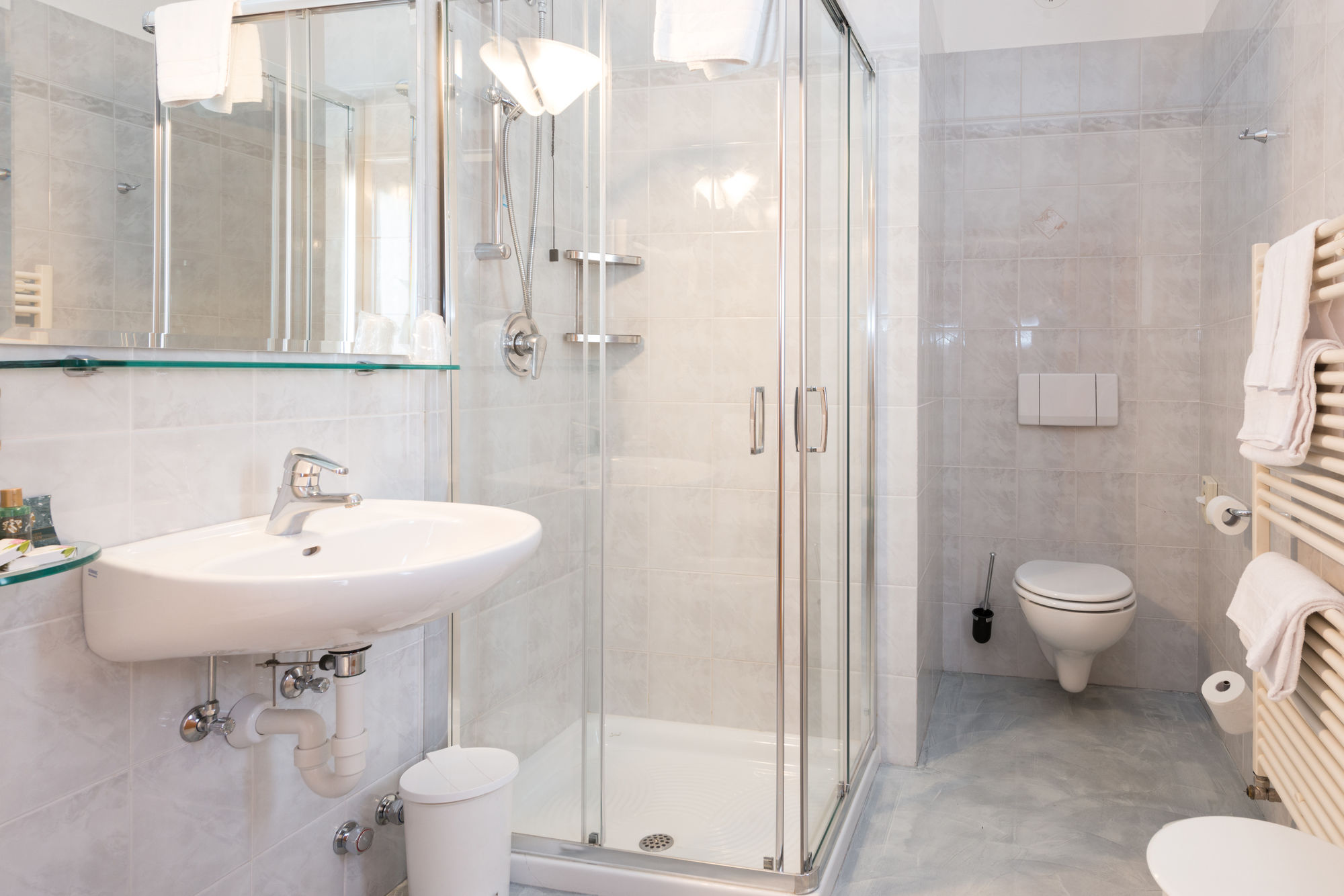 Фото Hotel Francesin