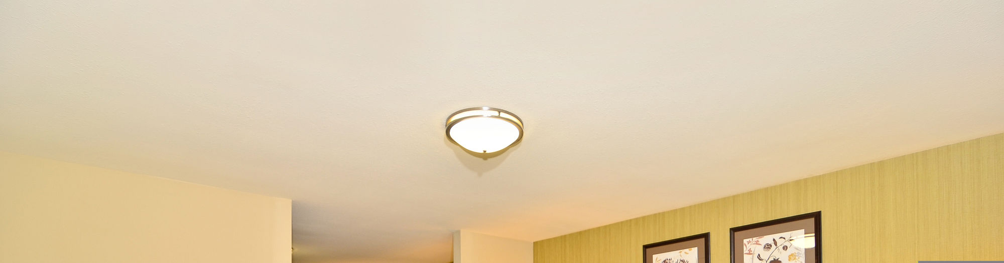 Фото Holiday Inn Express and Suites Williston, an Ihg Hotel