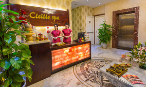 Гостиница Cicilia Danang Hotel & SPA