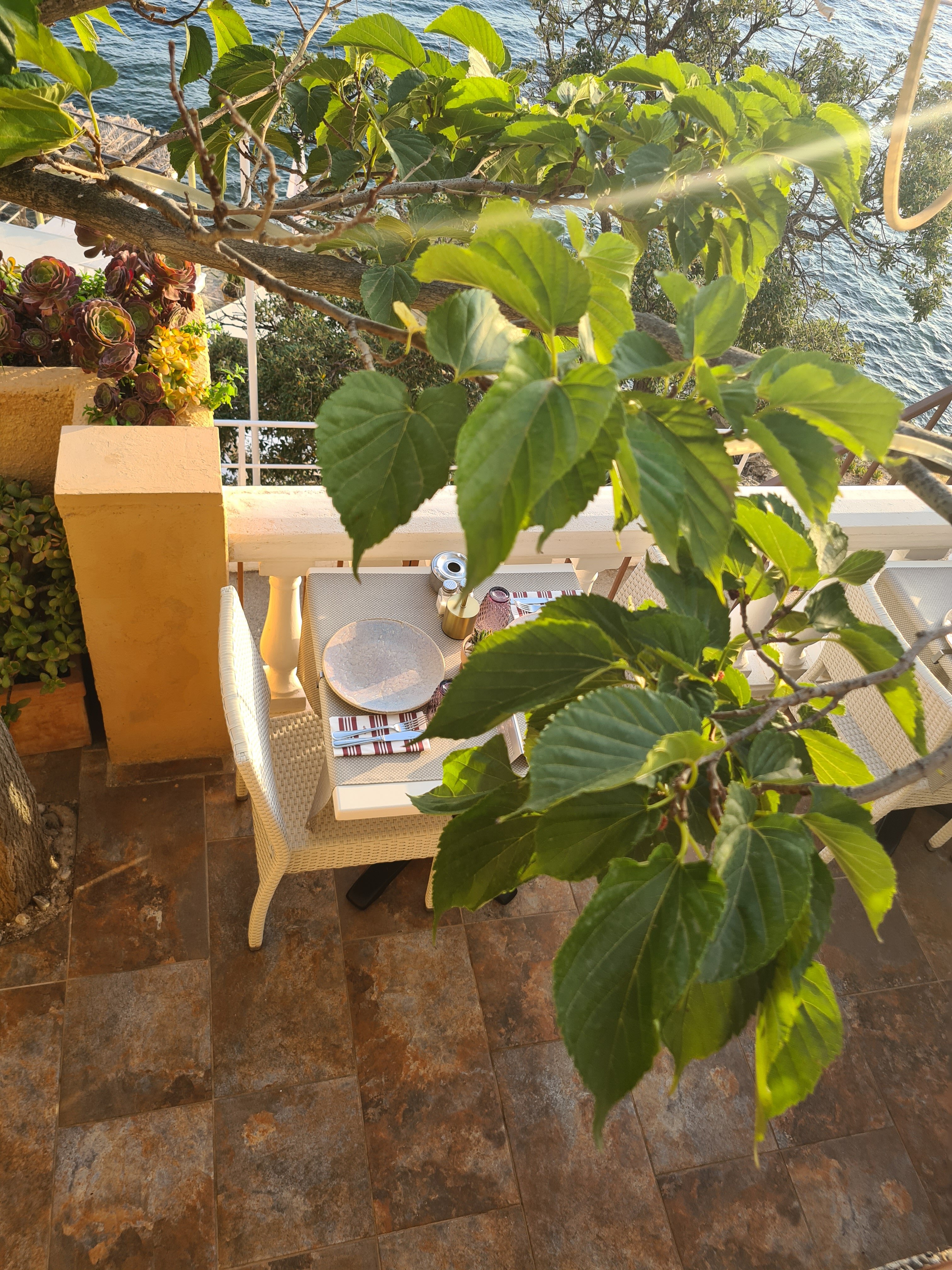 Фото Hotel Vistabella