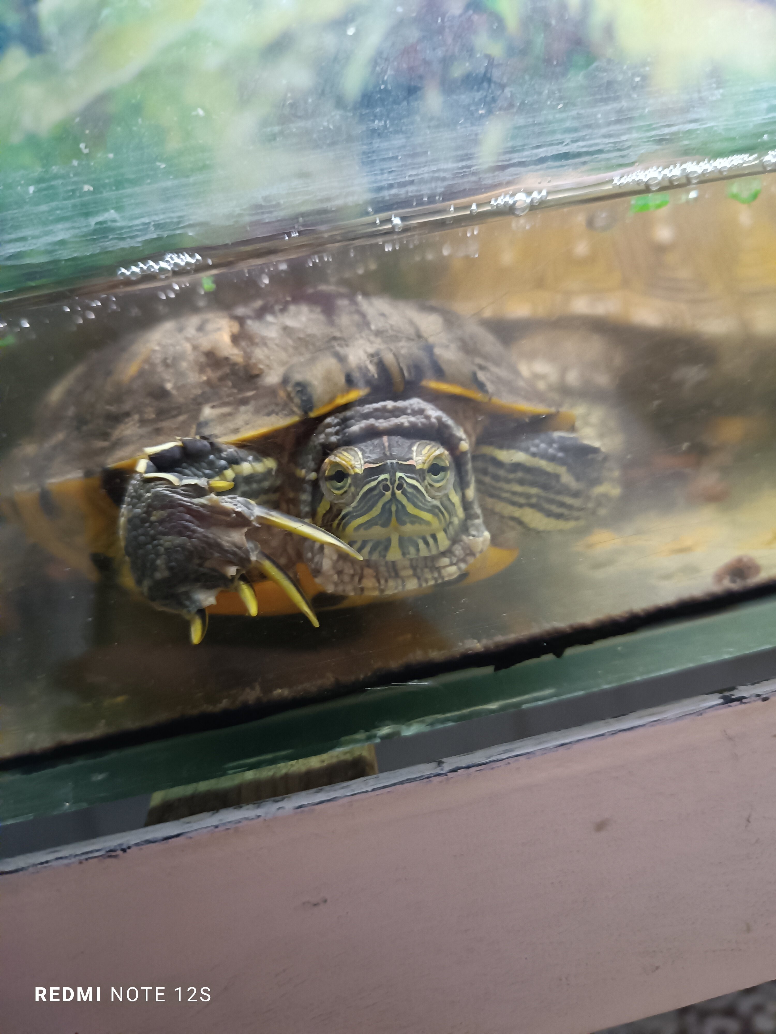 Фото Лунёвка