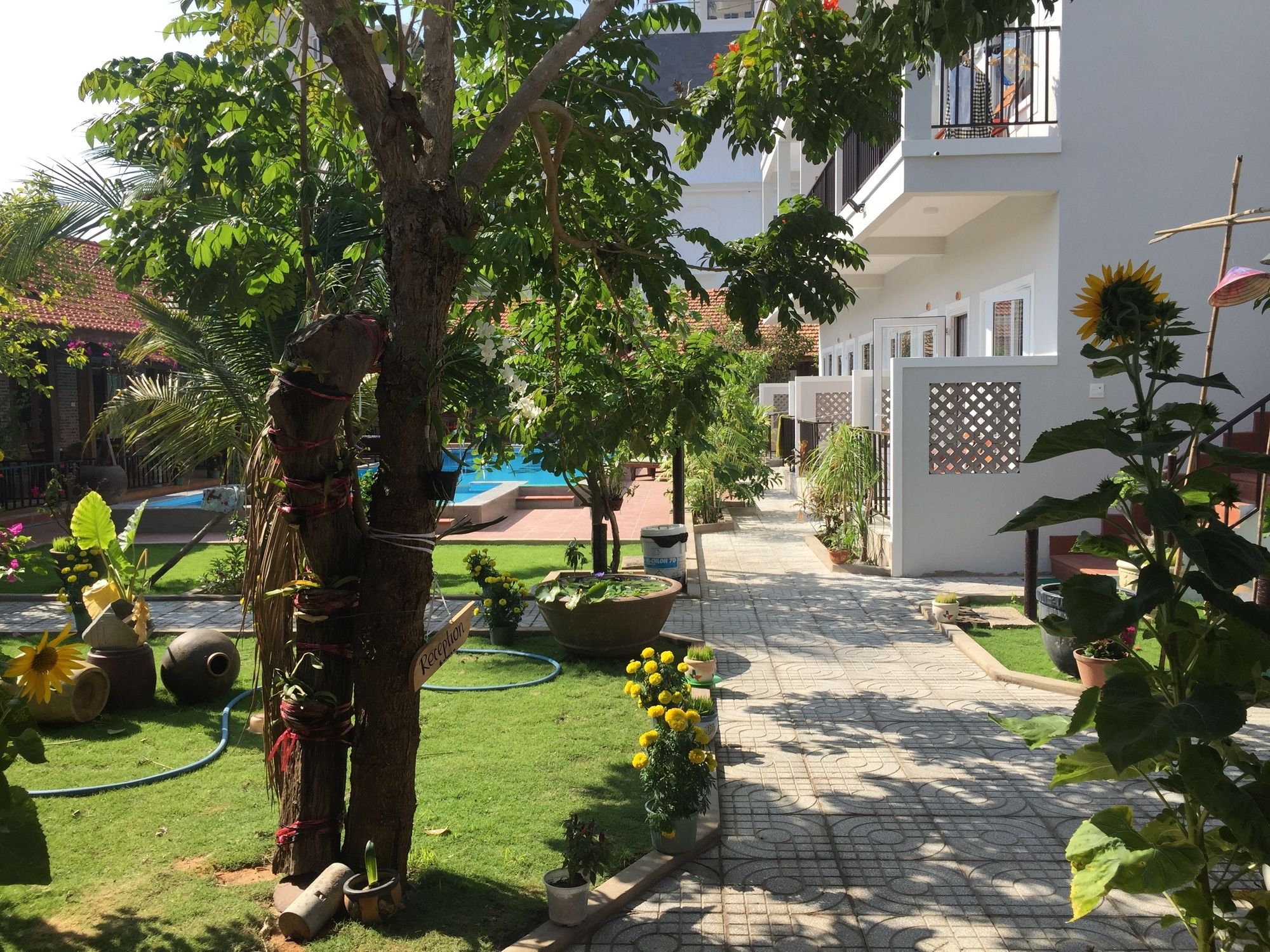 Фото May Bungalow