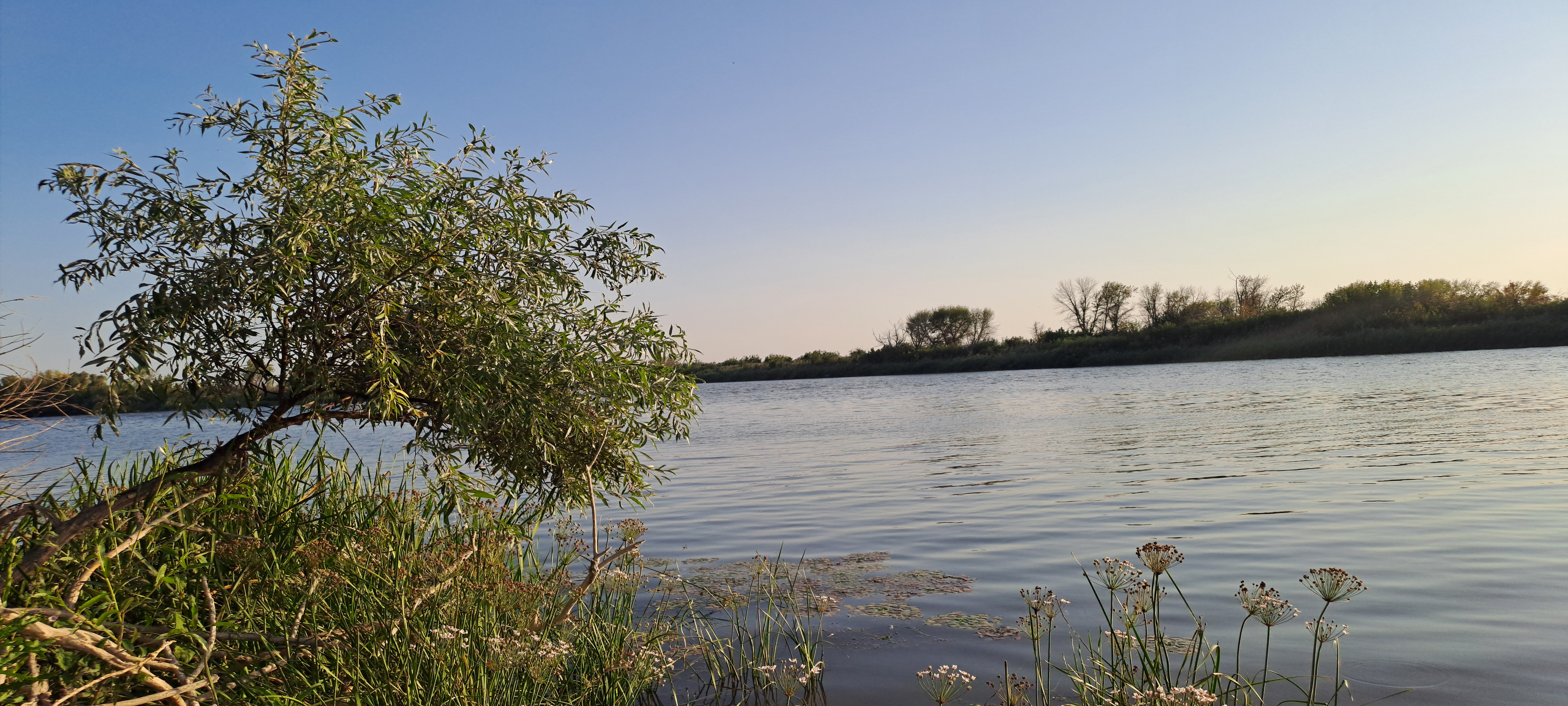 Фото Домик в Лотосах
