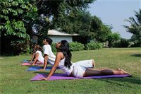 Фото The Beach House Goa