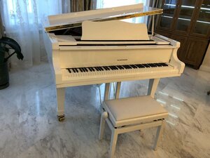 Иное жильё Александровский