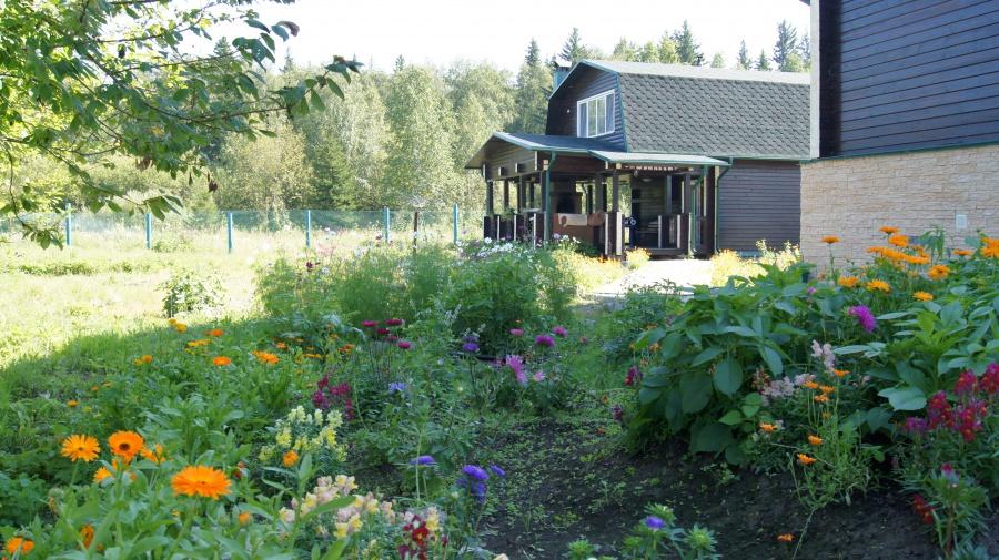 Фото Лукоморье