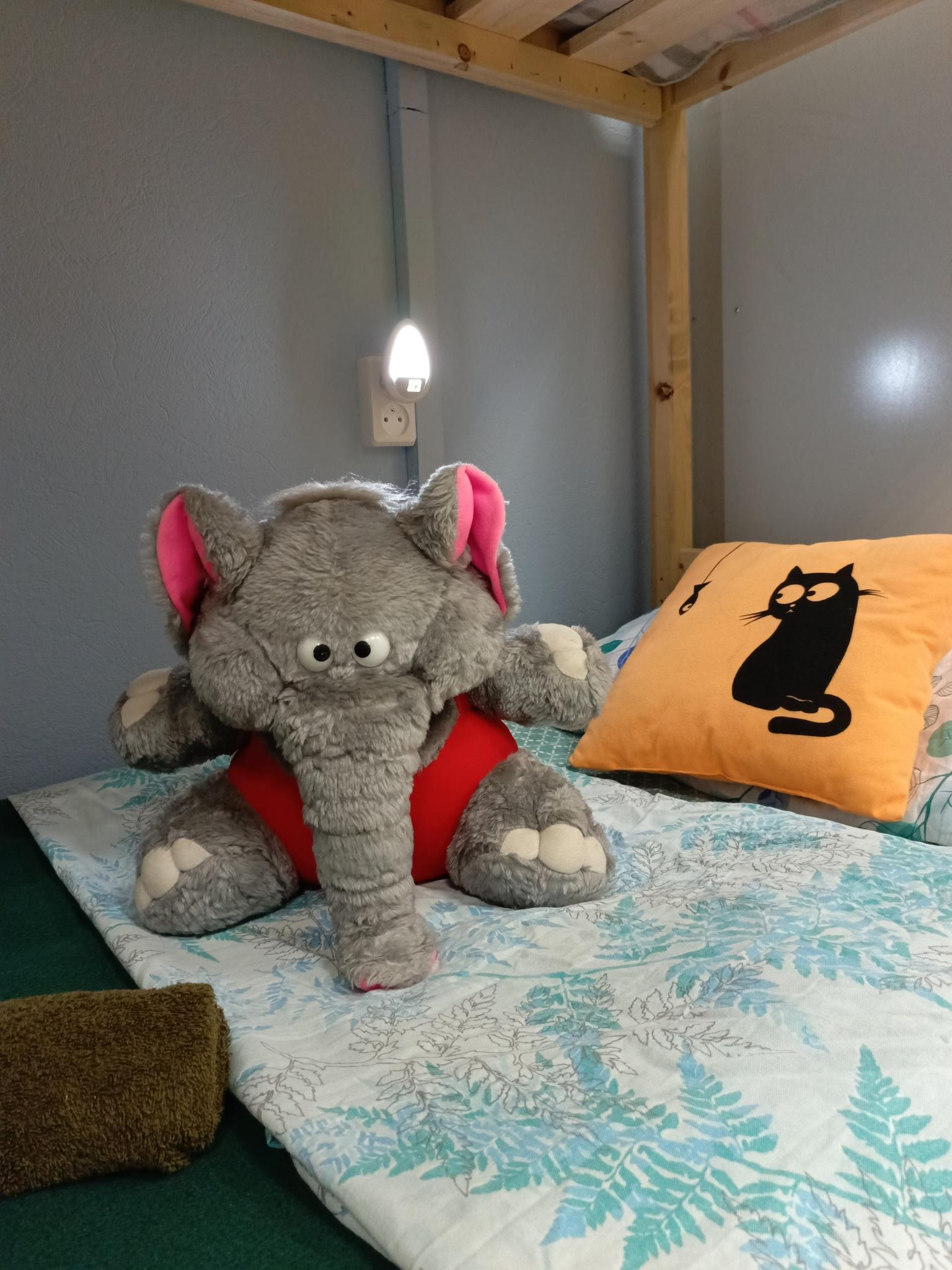 Фото Garden 22/2