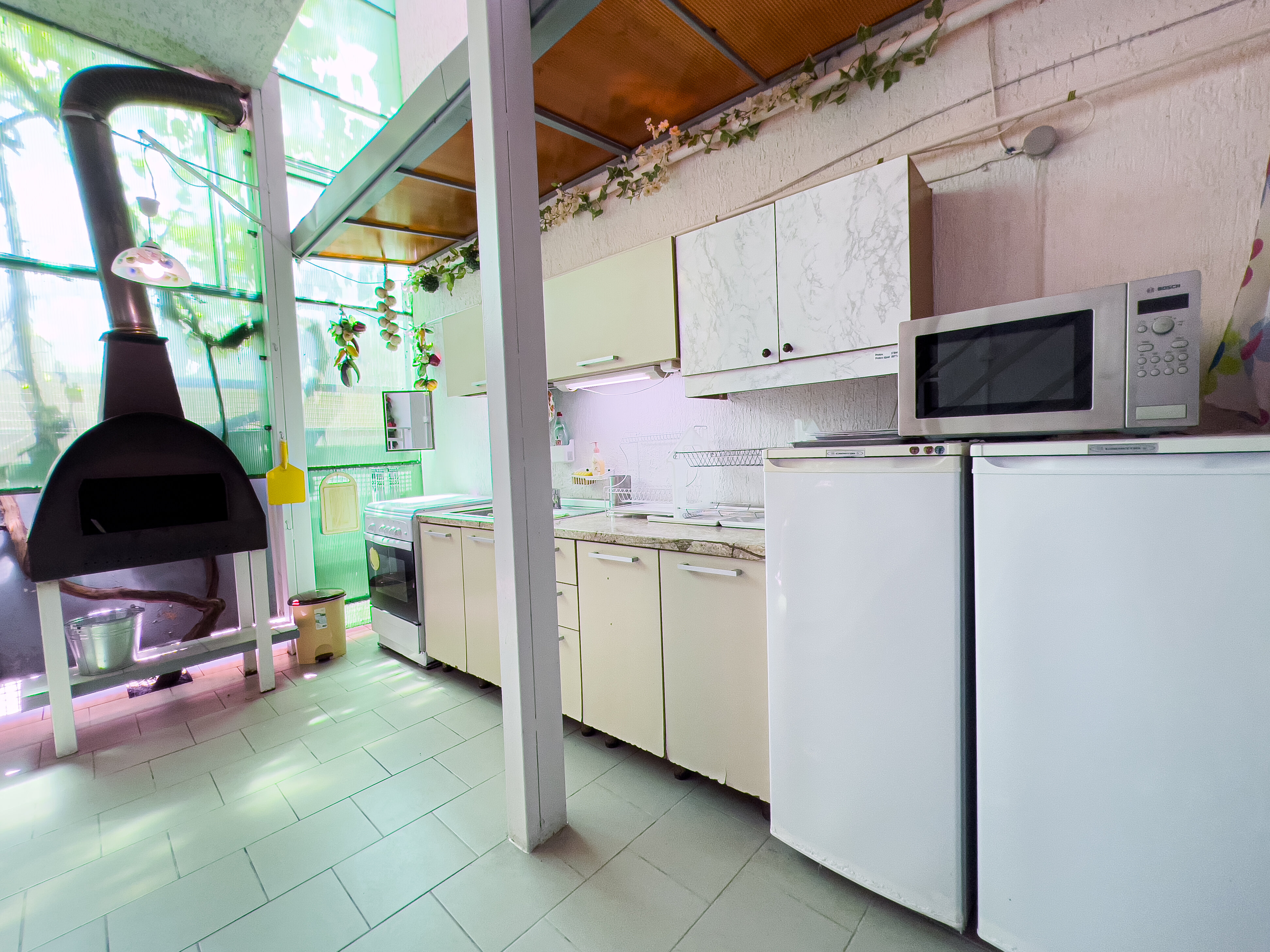 Фото Дельфин на Черноморской