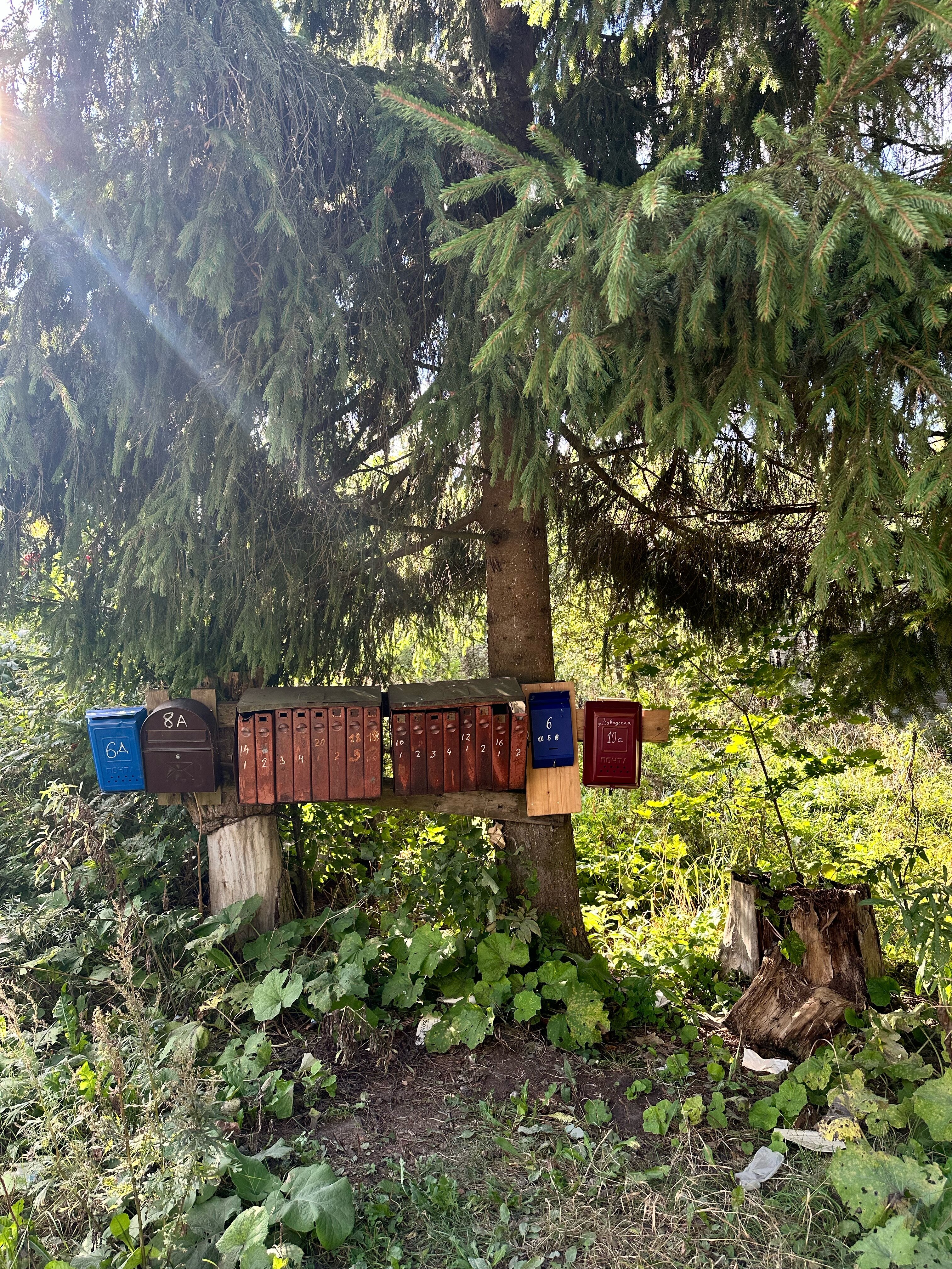 Фото Я на Базе