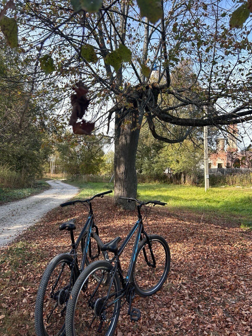 Фото Эко-отель Мордасово