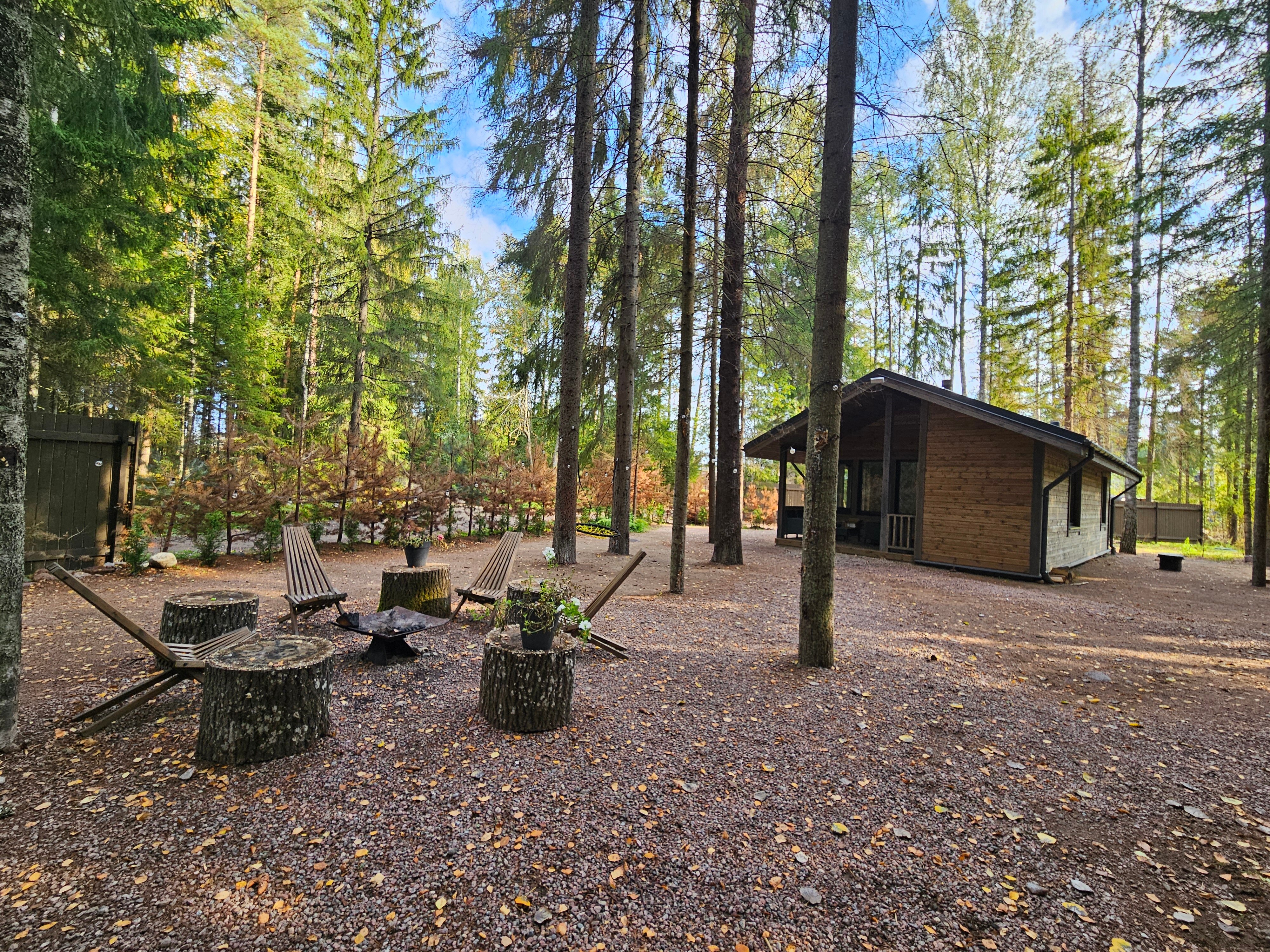 Фото Smell Of The Forest