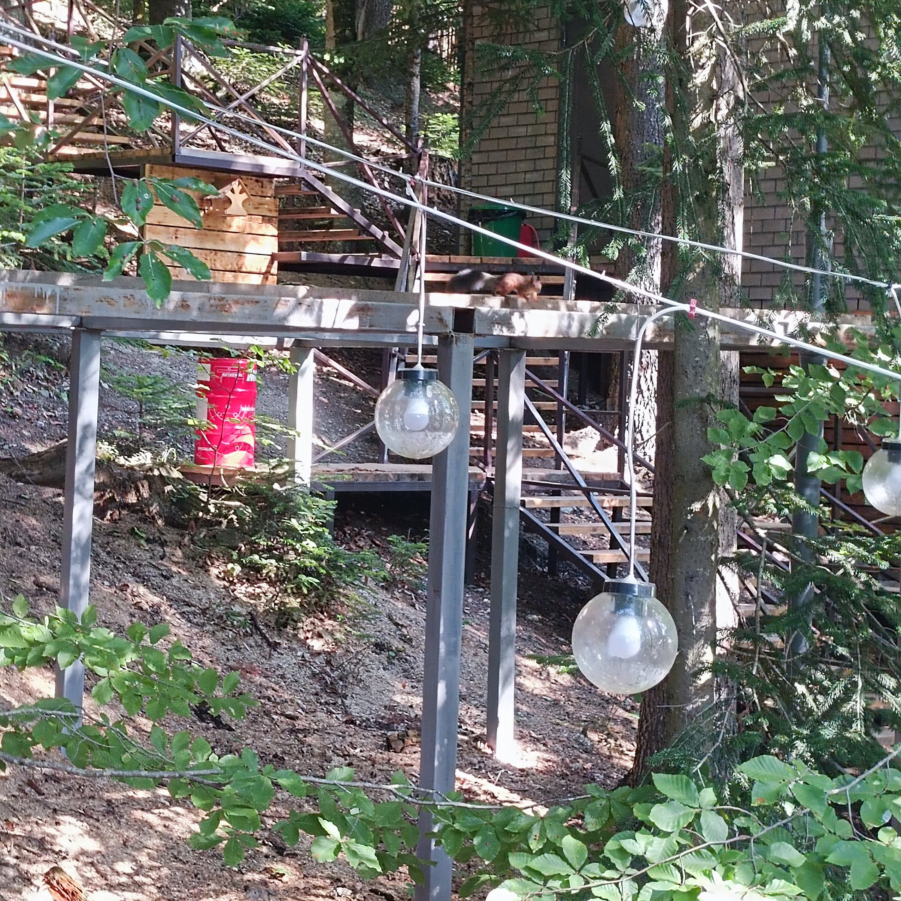 Фото АрхызGreen