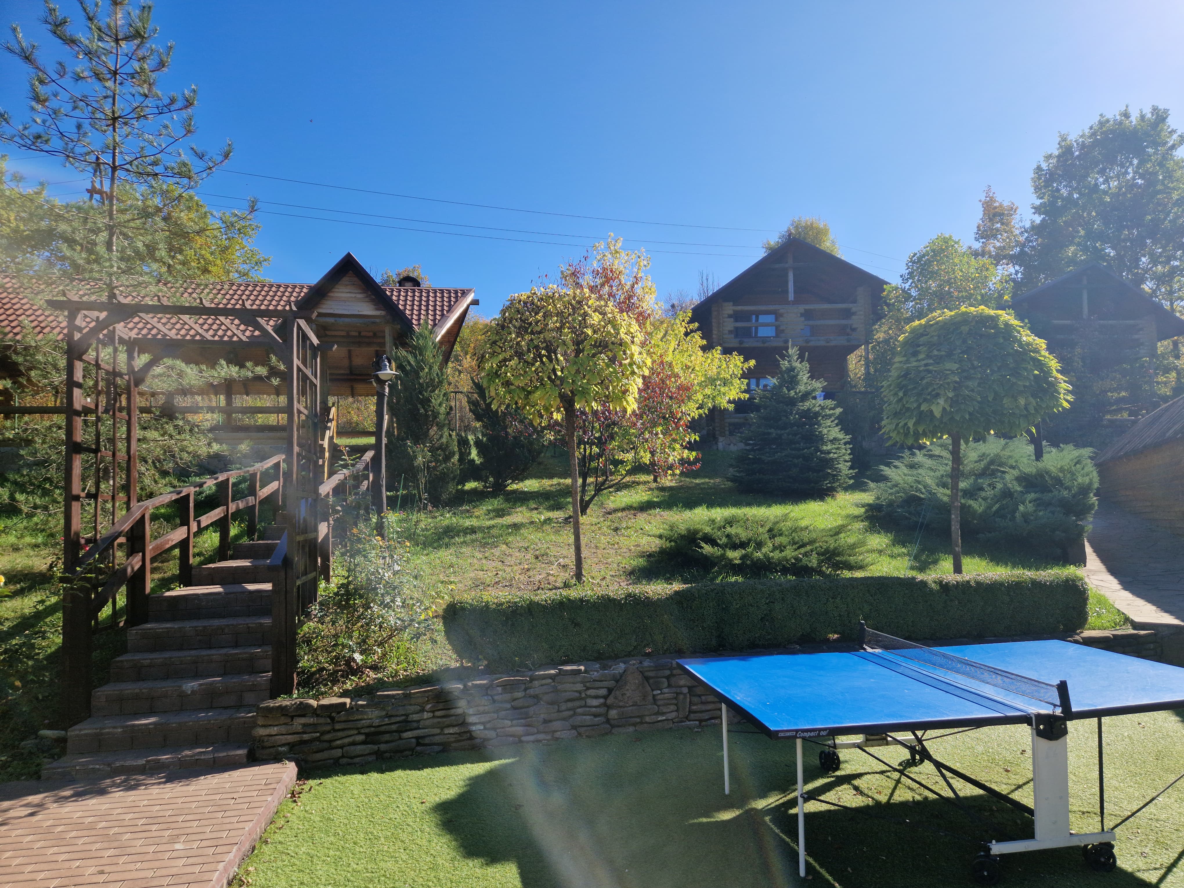 Фото Кура-цеце