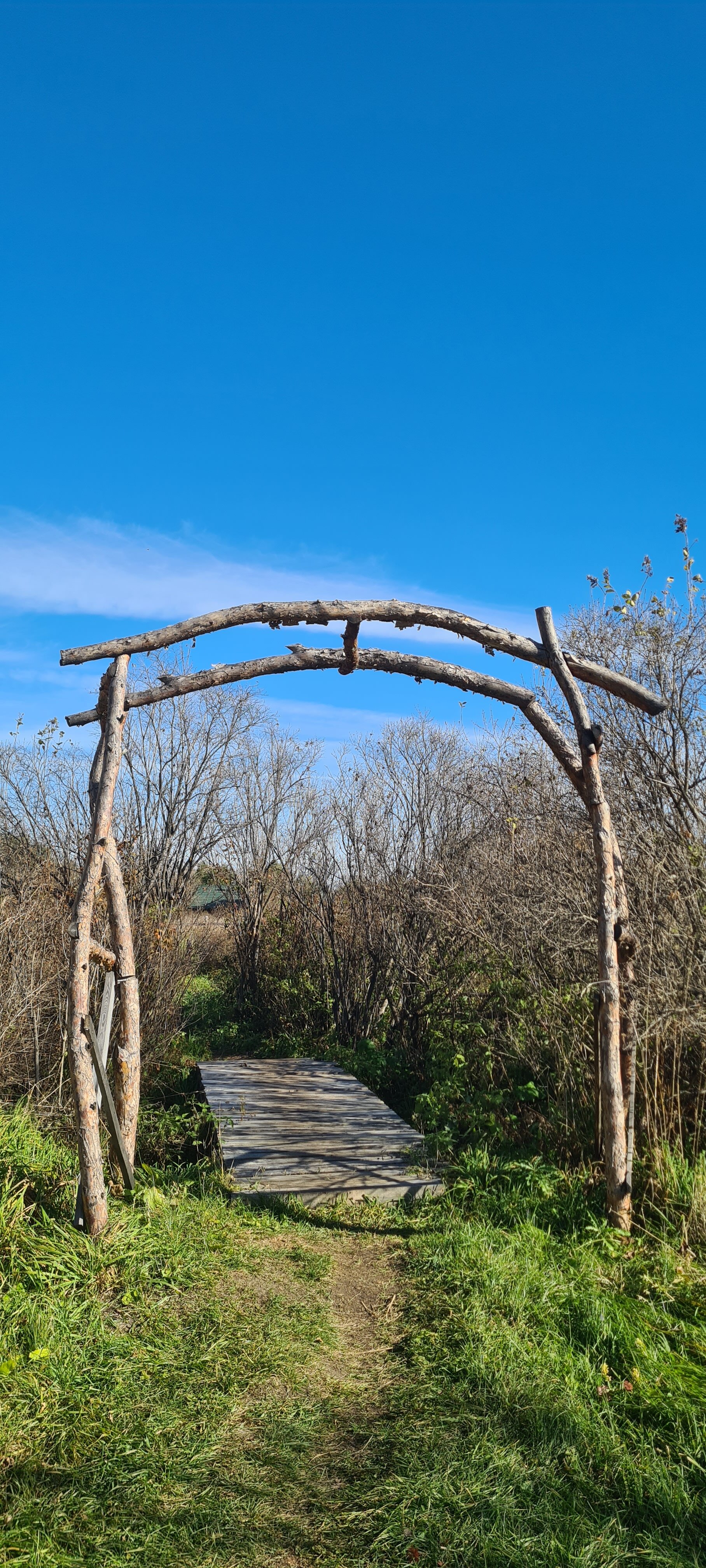 Фото Глэмпинг Стрекоза