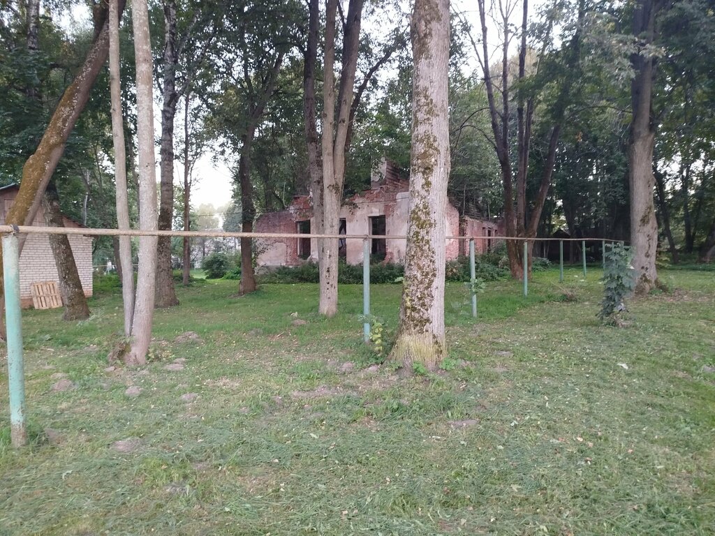 Landmark, attraction Руины усадебного дома Нарышкиных, Бутурлиных, Kaluga Oblast, photo