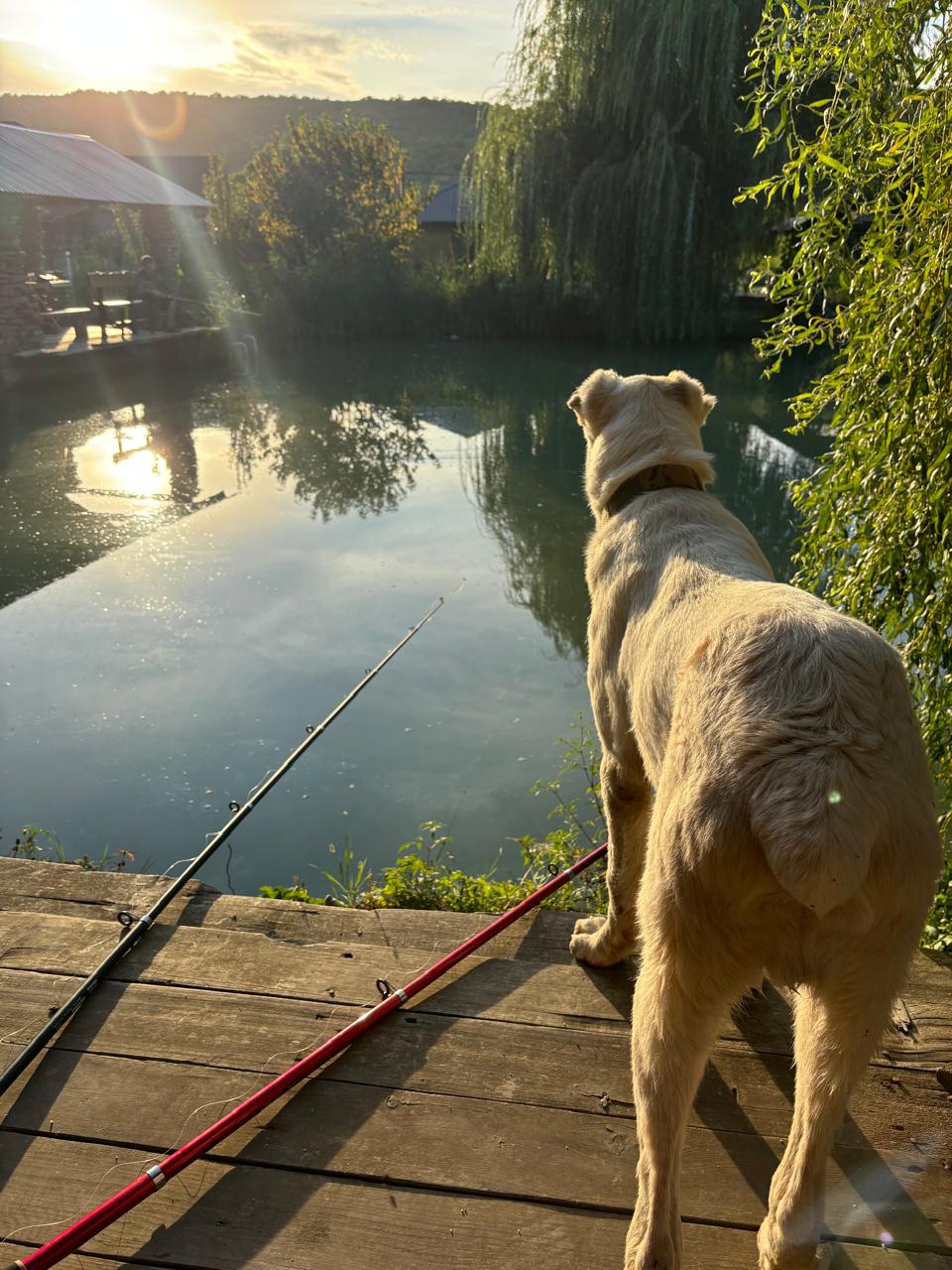 Фото Клевое место