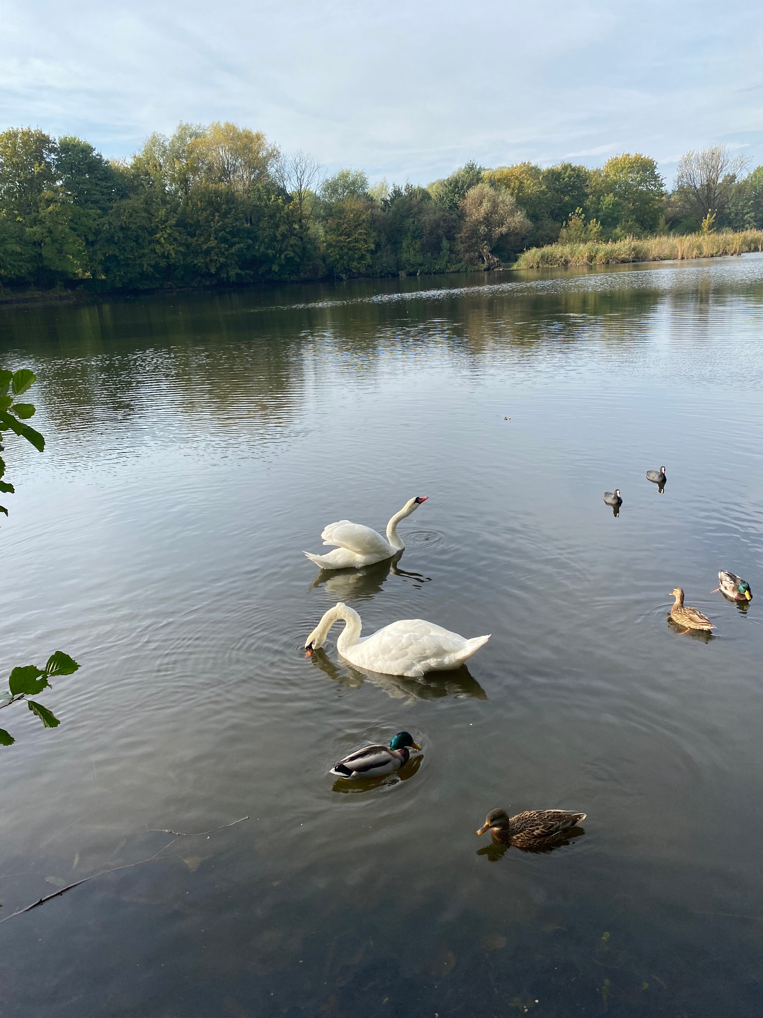 Фото Золотая бухта