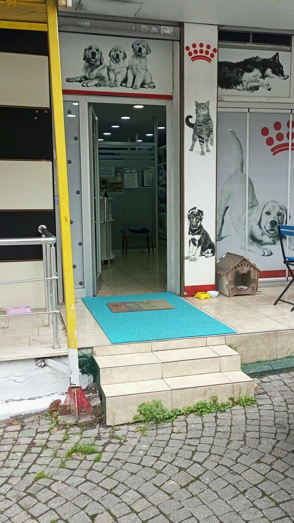 عيادة بيطرية Bastet Veterinary Clinic ، اسطنبول، صورة