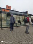 Студгородок (Krasnoyarsk, Akademika Kirenskogo Street), public transport stop