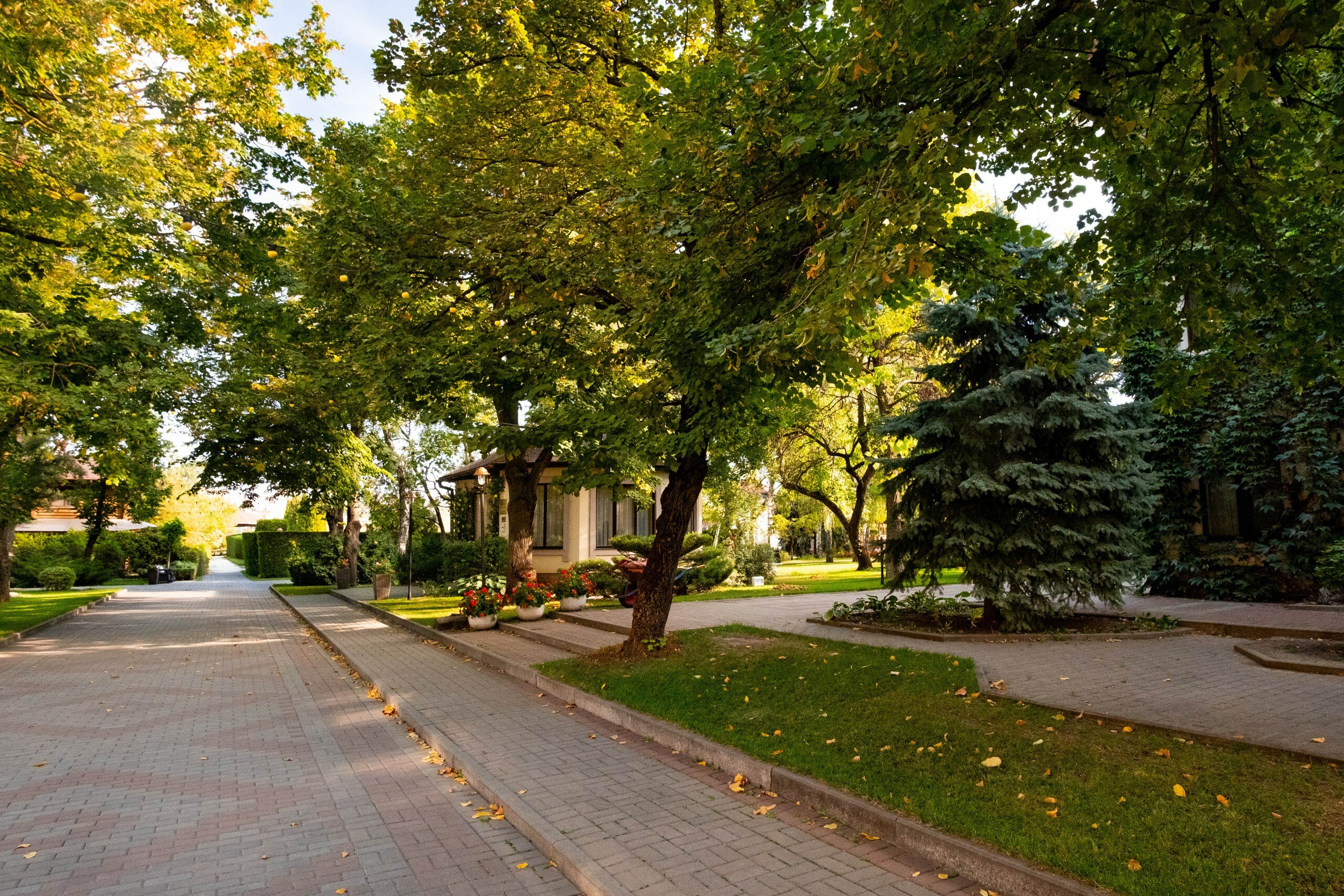 Фото Высокий берег