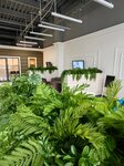 Inside nature (ulitsa Korolyova, 40к1) ، النباتات والزهور الاصطناعية