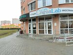 LinguaLab (ulitsa Agapkina, 17А), foreign language courses