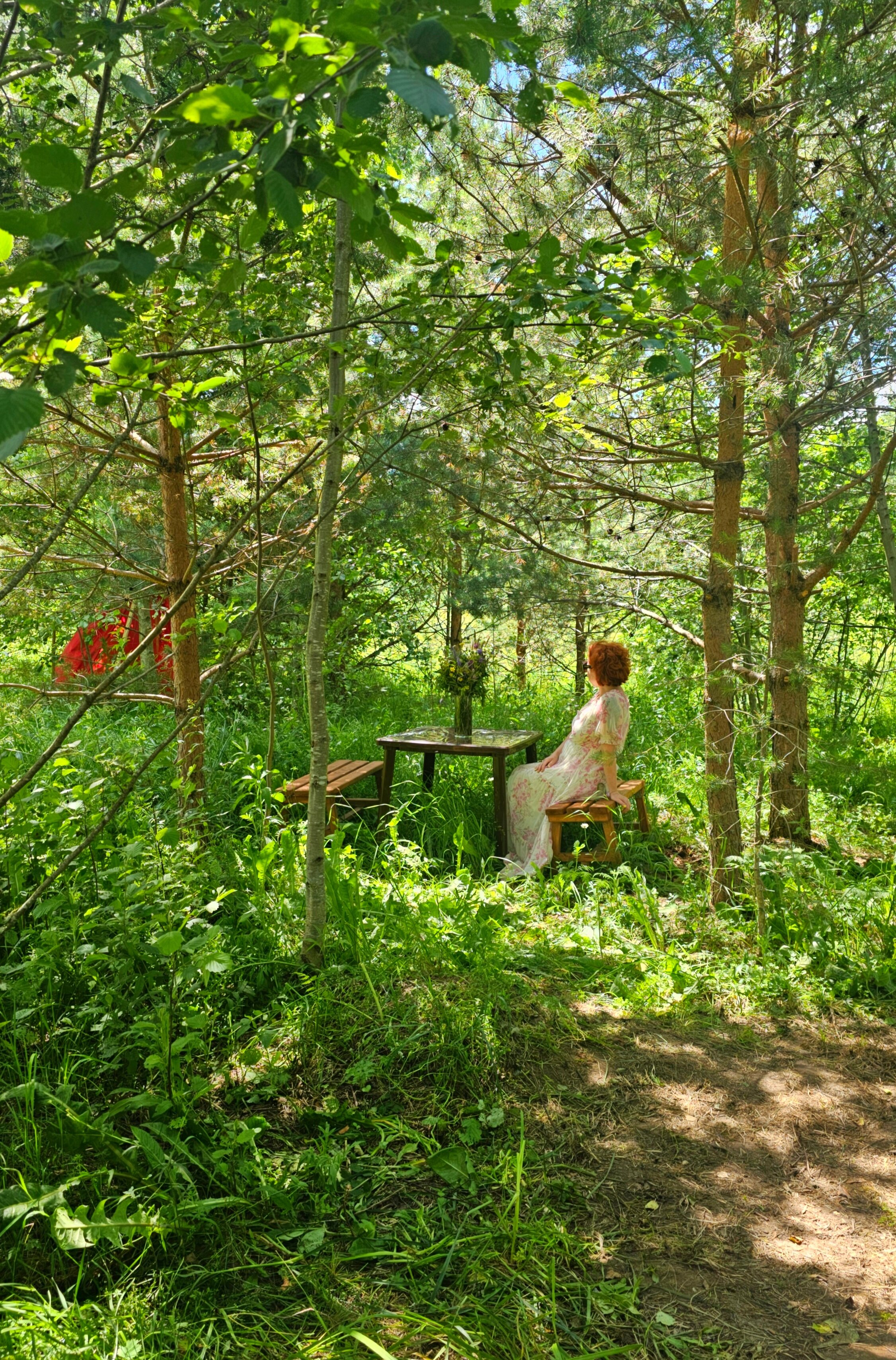 Фото Олин лес