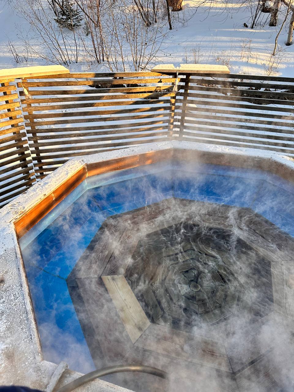 Фото Forest trail