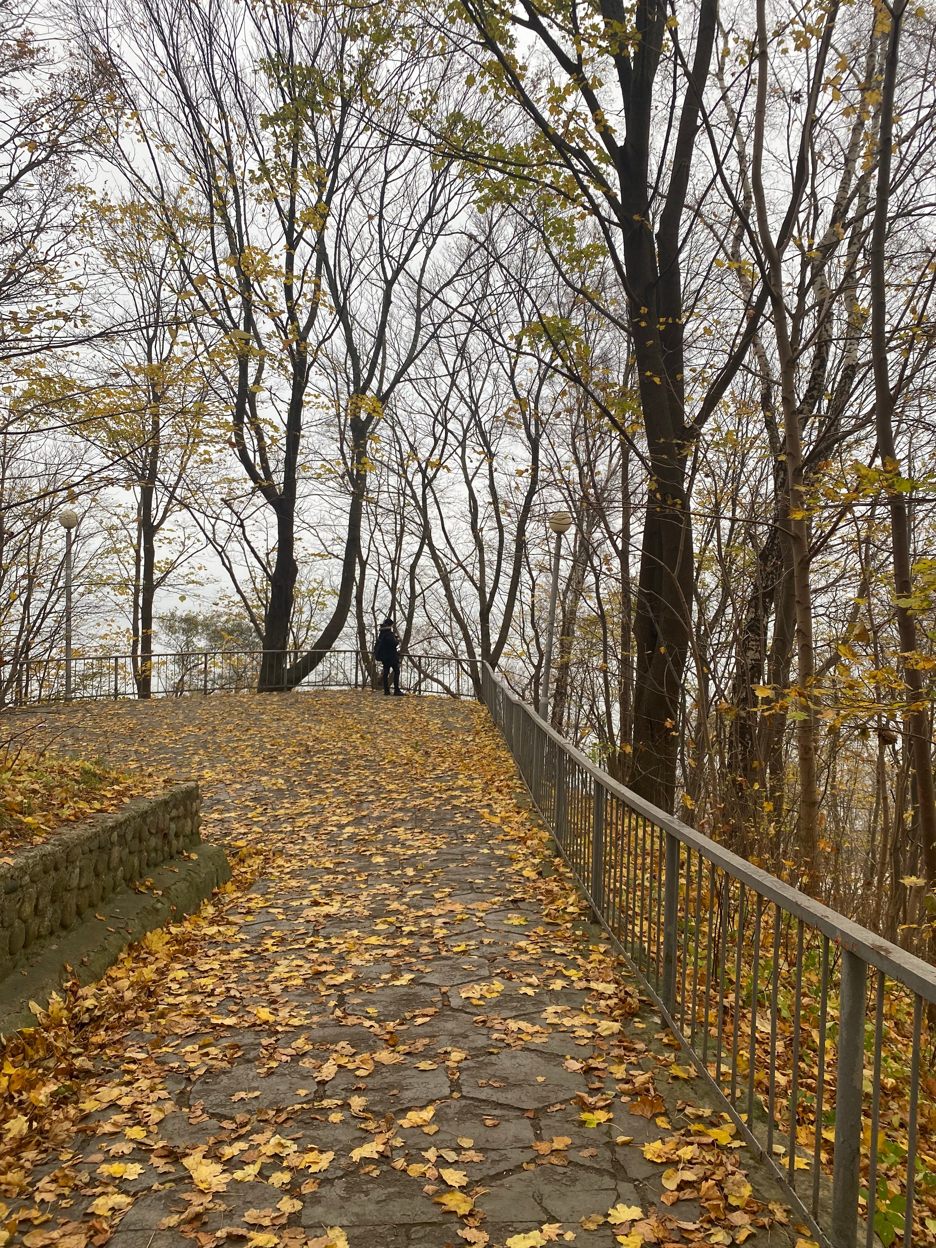 Фото Martini SPA